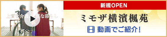 公式 Topページ 介護のミモザ Mimosa ミモザ株式会社 Mimosa Co Ltd 公式 Topページ 介護のミモザ Mimosa ミモザ株式会社 Mimosa Co Ltd
