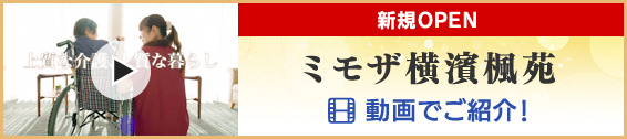 公式 Topページ 介護のミモザ Mimosa ミモザ株式会社 Mimosa Co Ltd